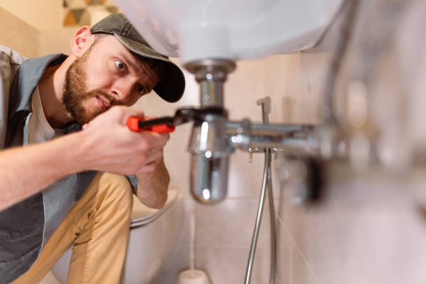 Best Garbage Disposal Repair and Installation  in Saranac, MI